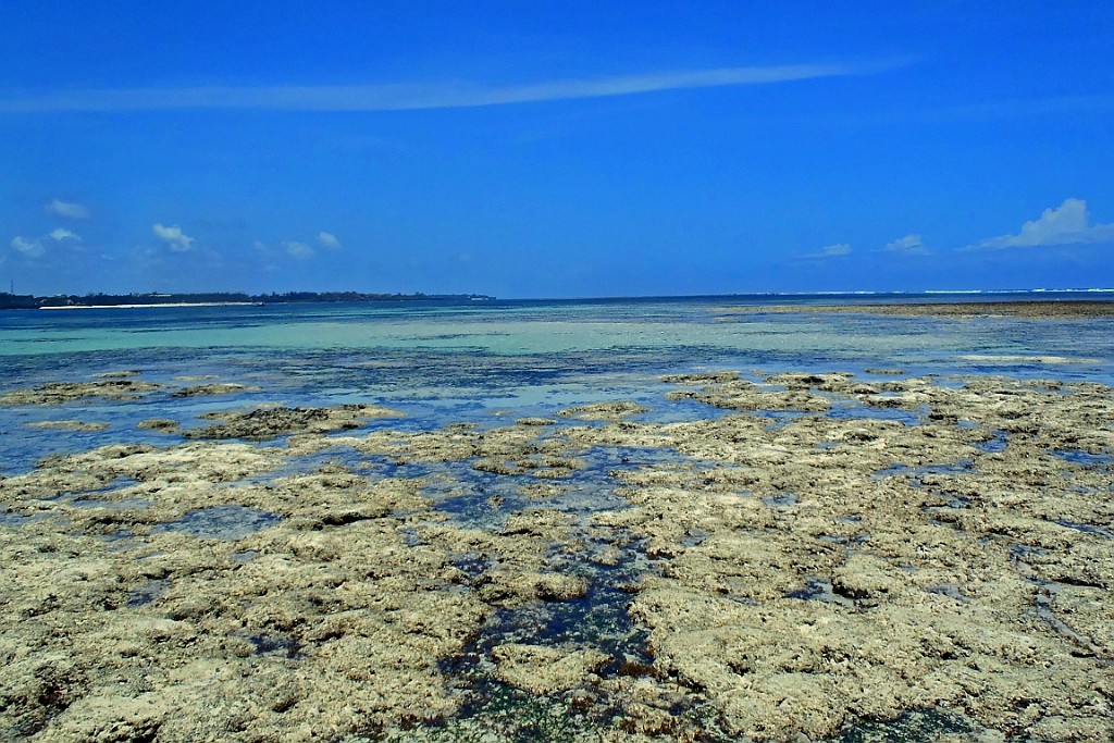 Kenia (538).jpg